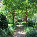 A secret garden.
