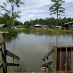 Rising waters as seen at my brother's house.